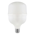 LED glödlampa T80 E27/20W/230V 4000K
