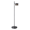 LED-golvlampa OFELIA 1xGX53/6W/230V svart/rökfärgad