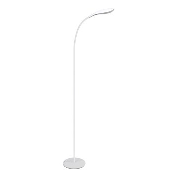 LED Golvlampa SWAN LED/6,5W/230V vit