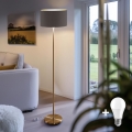 LED golvlampa TUNJA 1xE27/20W/230V Ø 38 cm guld/brun