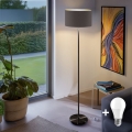 LED golvlampa TUNJA 1xE27/20W/230V Ø 38 cm svart/taupe