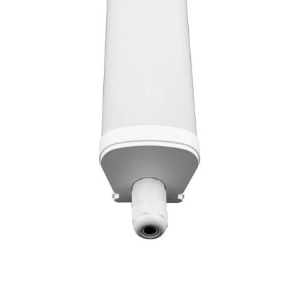 LED Heavy-duty belysning LED/40W/180-265V IP65