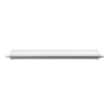 LED Heavy-duty belysning LED/40W/180-265V IP65