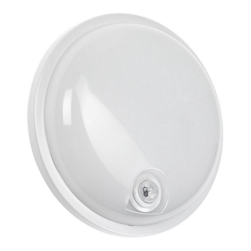 LED Heavy-duty belysning med PIR-sensor LED/20W/230V IP54
