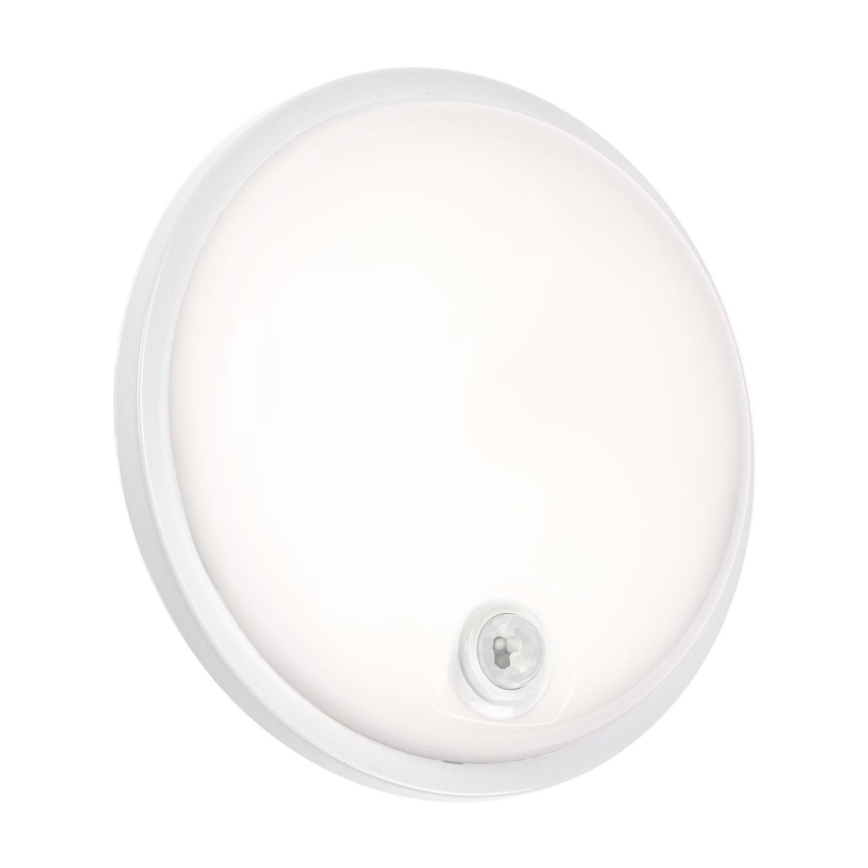 LED Heavy-duty belysning med PIR-sensor LED/20W/230V IP54