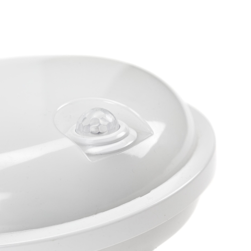 LED Heavy-duty belysning med PIR-sensor LED/20W/230V IP54