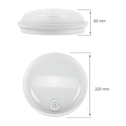 LED Heavy-duty belysning med PIR-sensor LED/20W/230V IP54