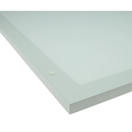 LED infälld panel ALGINE DUO 2in1 LED/30W/230V 120x30 cm