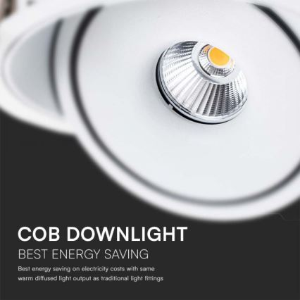 LED Infälld spotlight LED/20W/230V 3000/4000/6400K diameter 16,5 cm vit