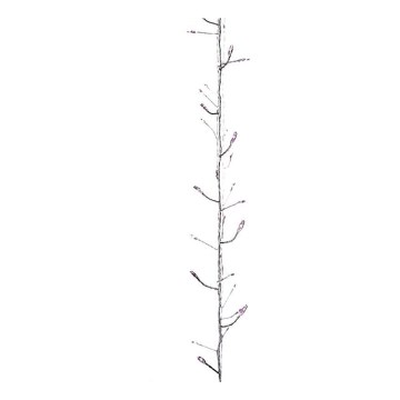 LED Inomhus Julslinga NANO 100xLED/1,2W/3xAA 2,4 m