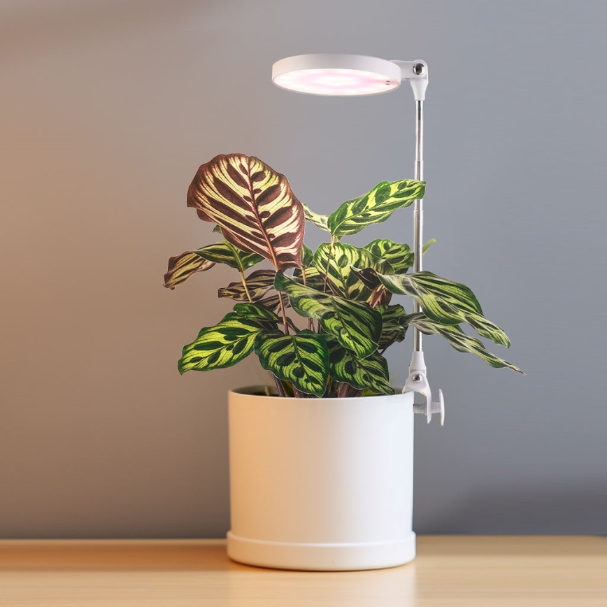 LED Inomhuslampa för odling av växter LED/10W/5V 3200K