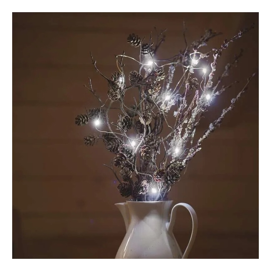 LED julkedja 20xLED/2xAA 2,4m kall vit