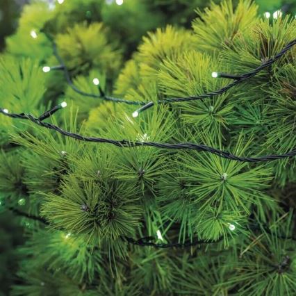 LED julkedja för utomhusbruk 100xLED/10m IP44 grön
