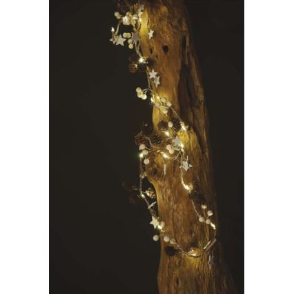 LED julkedja  20xLED/2m