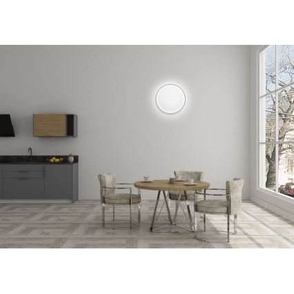 LED ljusreglerad taklampa  LED/24W/230V + fjärrkontroll  rund  2700K-6500K