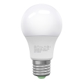 LED-lampa ECOLINE A60 E27/10W/230V 3,000K - Brilagi