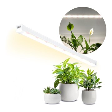 LED lampa för undersidan av köksskåp för att odla växter GROWLY LED/15W/230W