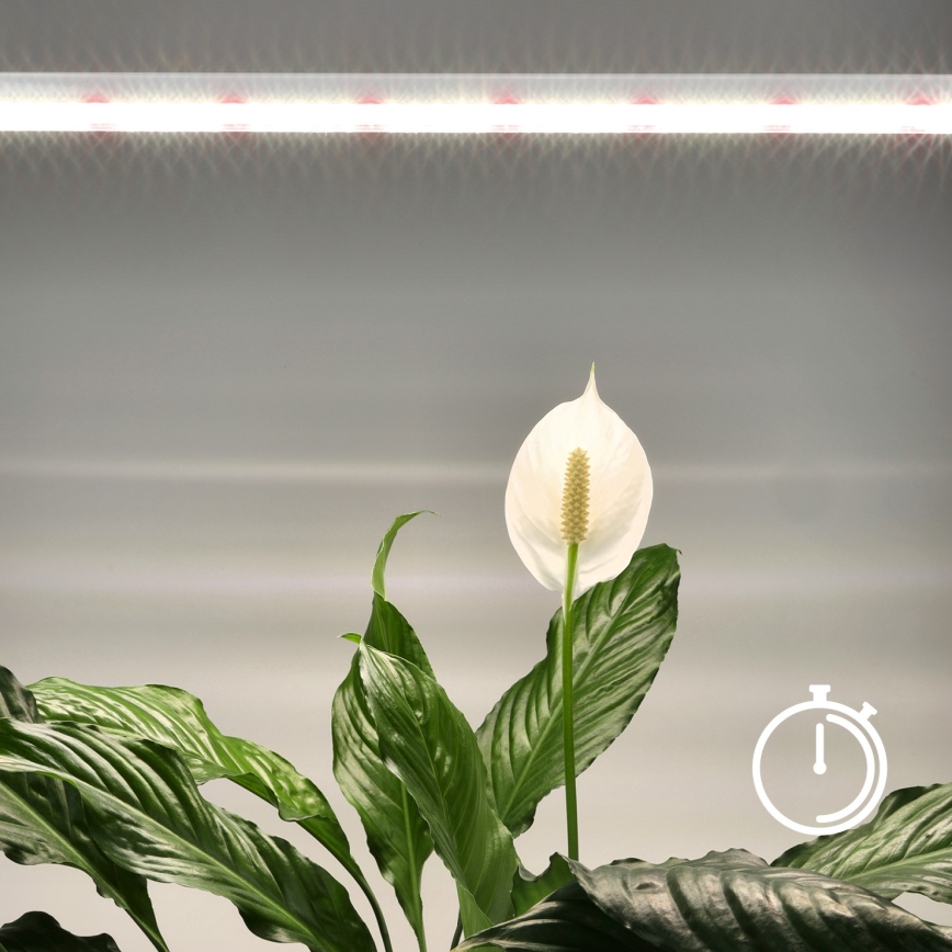 LED lampa för undersidan av köksskåp för att odla växter GROWLY LED/15W/230W