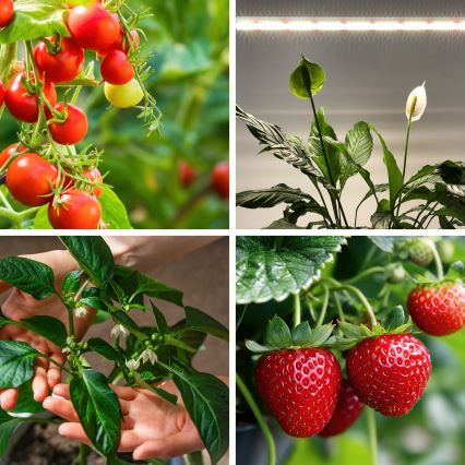 LED lampa för undersidan av köksskåp för att odla växter GROWLY LED/15W/230W