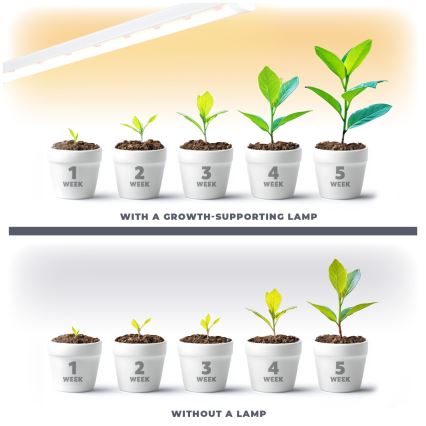 LED lampa för undersidan av köksskåp för att odla växter GROWLY LED/15W/230W