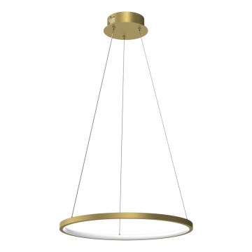 LED-lampa på kabel ROTONDA LED/27W/230V guld