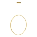 LED-lampa på kabel SATURNO LED/46W/230V Ø 80 cm IP44 guld