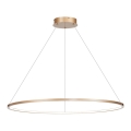 LED-lampa på kabel SATURNO LED/57W/230V Ø 100 cm IP44 guld