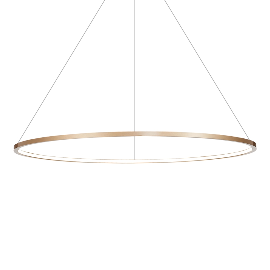 LED-lampa på kabel SATURNO LED/57W/230V Ø 100 cm IP44 guld