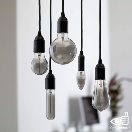 LED-lampa SMOKY VINTAGE Philips T32 E27/2.3W/230V 2,700K