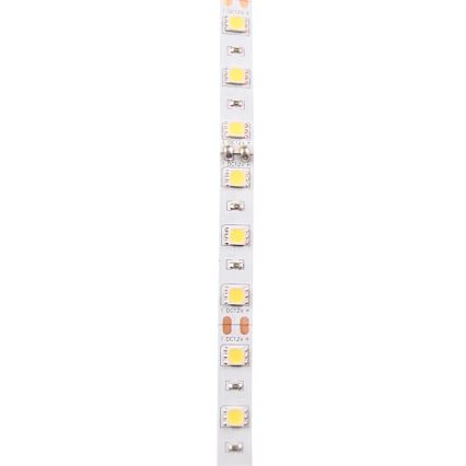 LED list 5m LED/10W/12V IP20 vit