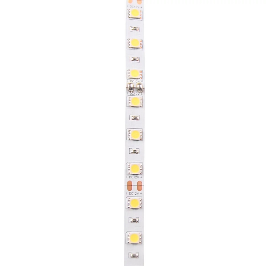 LED list 5m LED/10W/12V IP20 vit