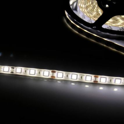LED list 5m LED/10W/12V IP20 vit