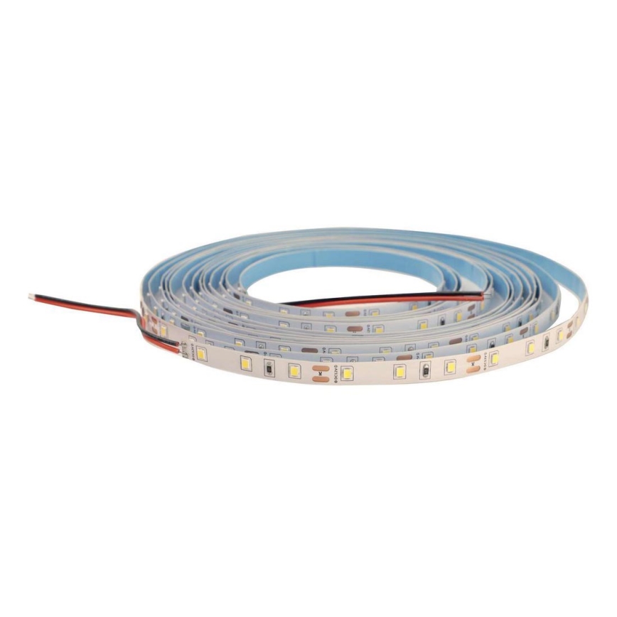 LED list DAISY 5m kall vit