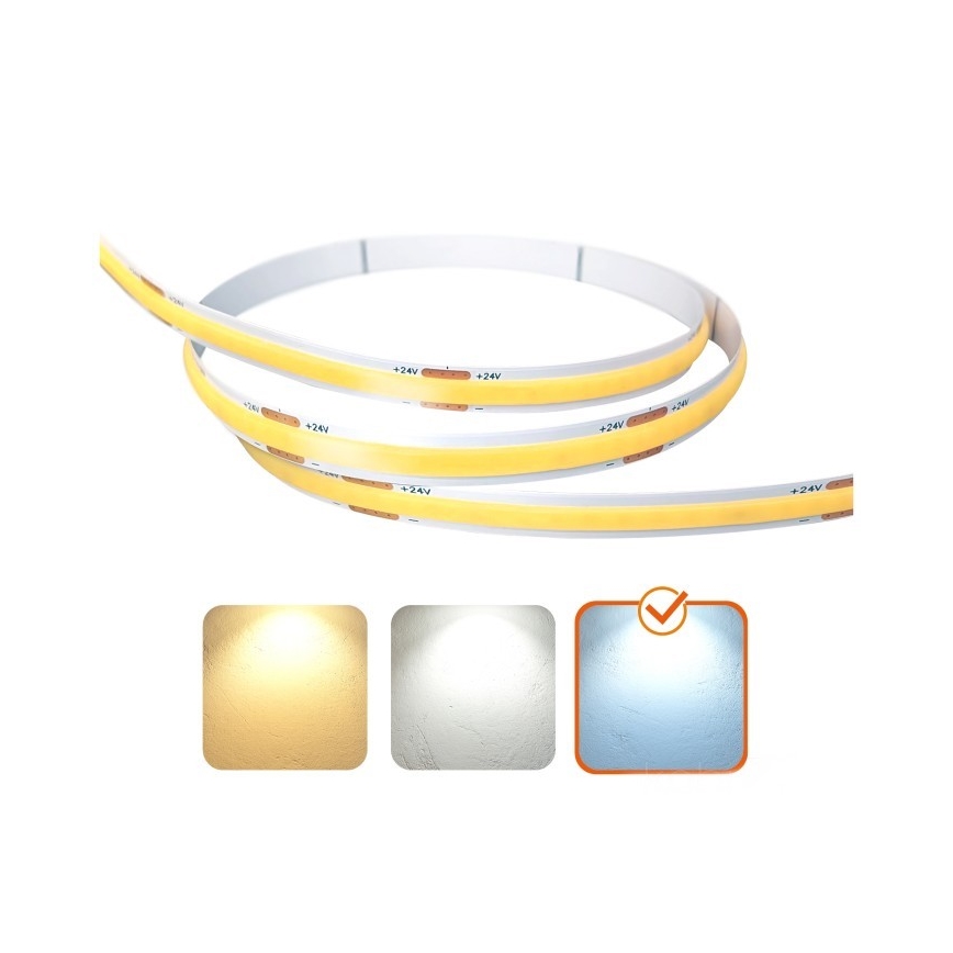 LED list TRAMO LED/500W/24V 50 m 6500K