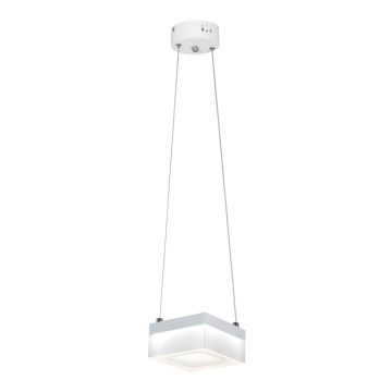 LED Ljuskrona med snöre CUBO LED/12W/230V fyrkantig