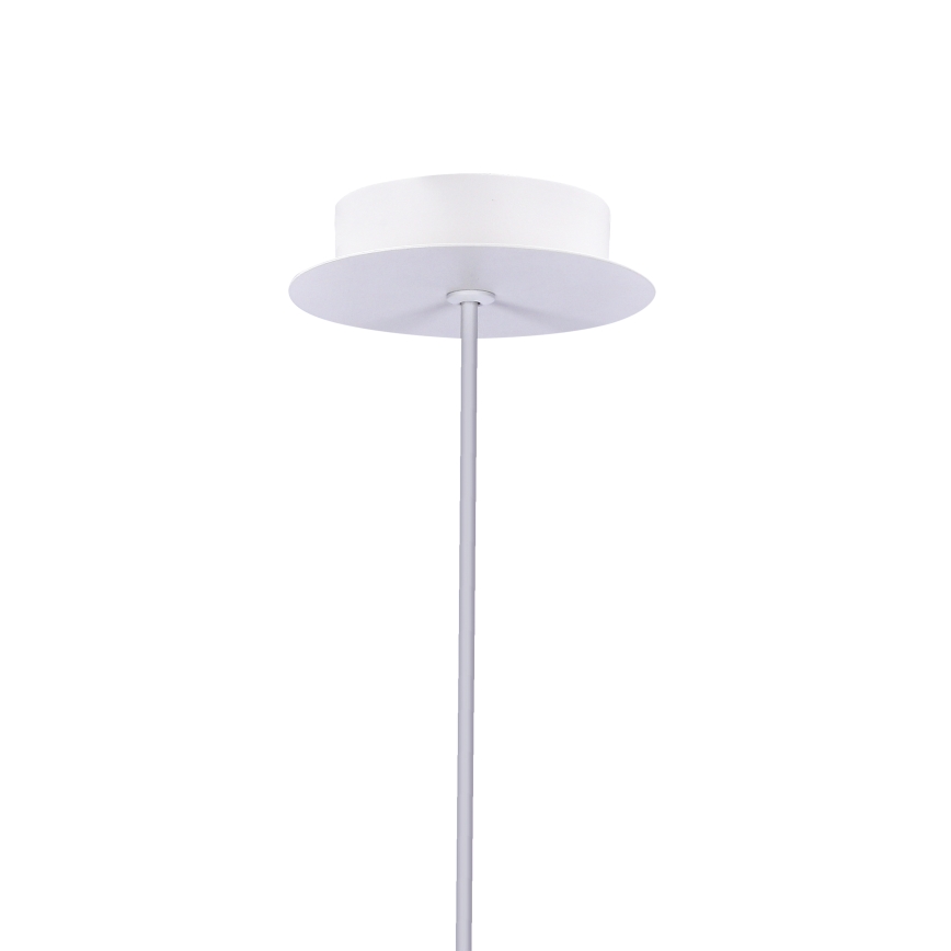 LED Ljuskrona med snöre MODENA LED/5W/230V