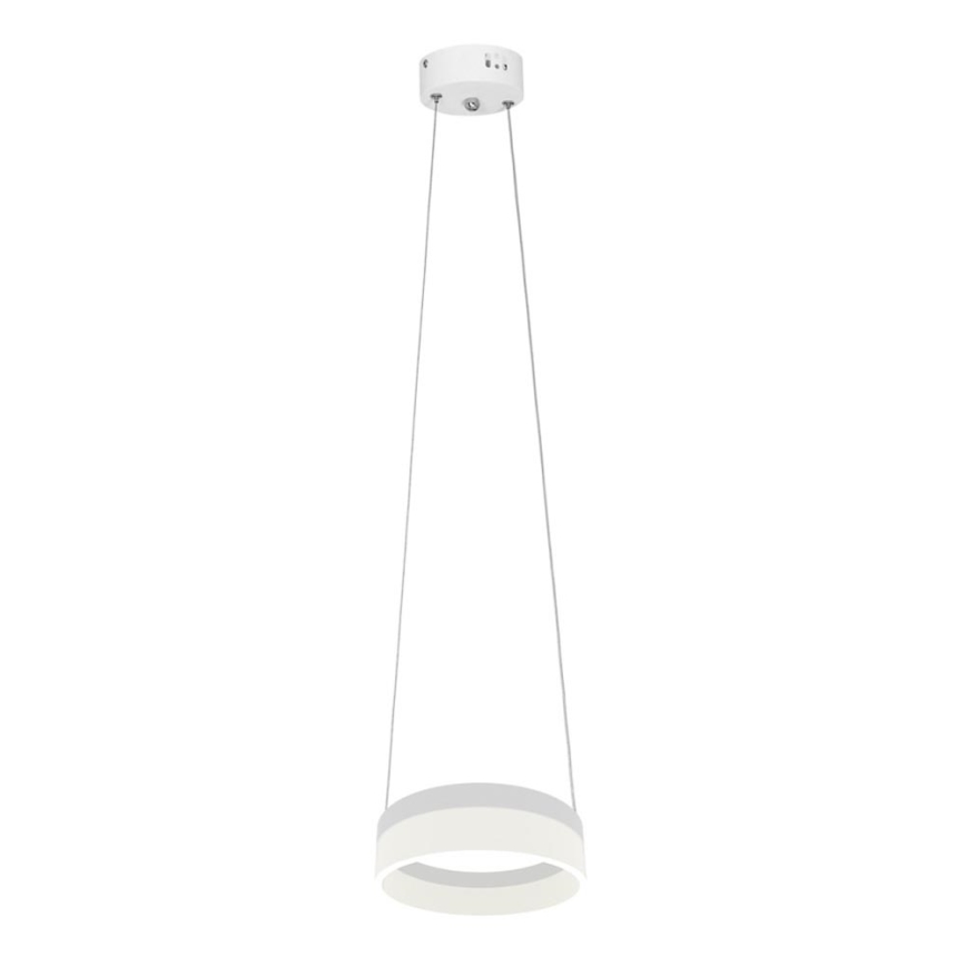 LED Ljuskrona med snöre RING LED/12W/230V