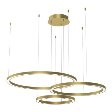 LED ljuskrona med upphängningsrem GALAXIA LED/85W/230V gyllene