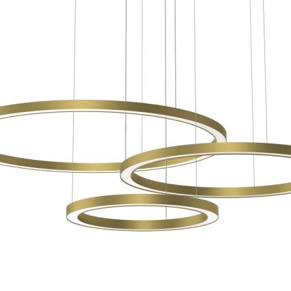 LED ljuskrona med upphängningsrem GALAXIA LED/85W/230V gyllene