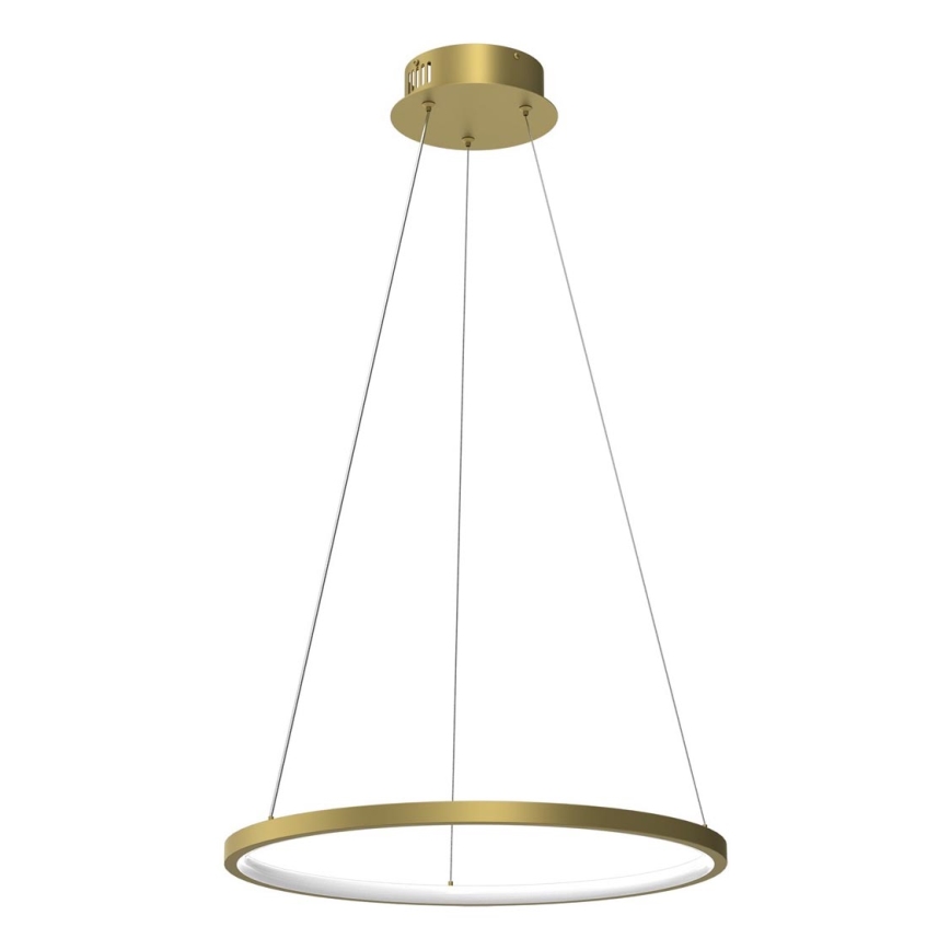LED ljuskrona med upphängningsrem ROTONDA LED/27W/230V gyllene