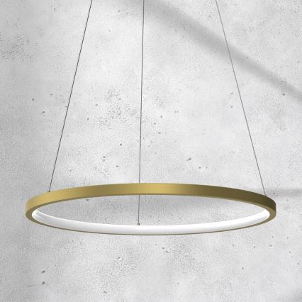 LED ljuskrona med upphängningsrem ROTONDA LED/27W/230V gyllene