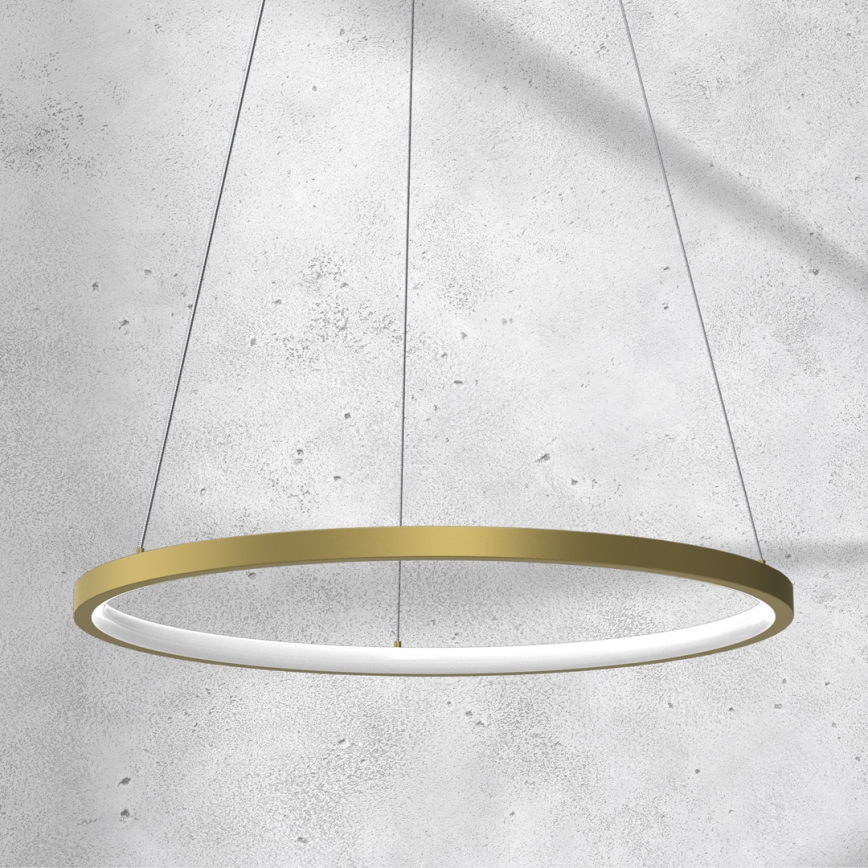 LED ljuskrona med upphängningsrem ROTONDA LED/27W/230V gyllene