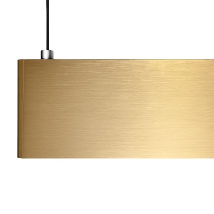 LED-ljuskrona med vajer LINEA LED/36W/230V 3000/4000/5700K CRI 90 guld