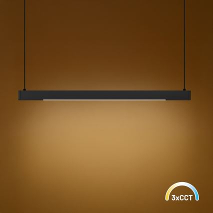 LED-ljuskrona på vajer LINEA LED/36W/230V 3000/4000/5700K CRI 90 svart