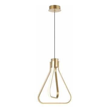 LED-ljuskrona på vajer ZING LED/19W/230V guldfärgad