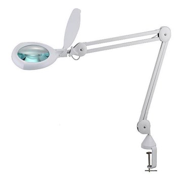 LED ljusreglerad bordslampa med en magnifier and clip LED/8W/12/230V
