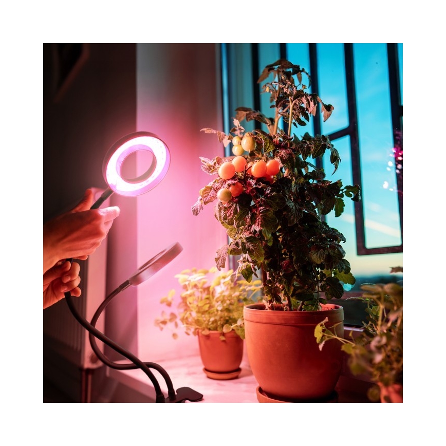 LED Ljusreglerad flexibel bordslampa med klämma för att odla växter VITARO 2xLED/4W/230V svart
