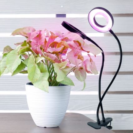 LED Ljusreglerad flexibel bordslampa med klämma för att odla växter VITARO 2xLED/4W/230V svart
