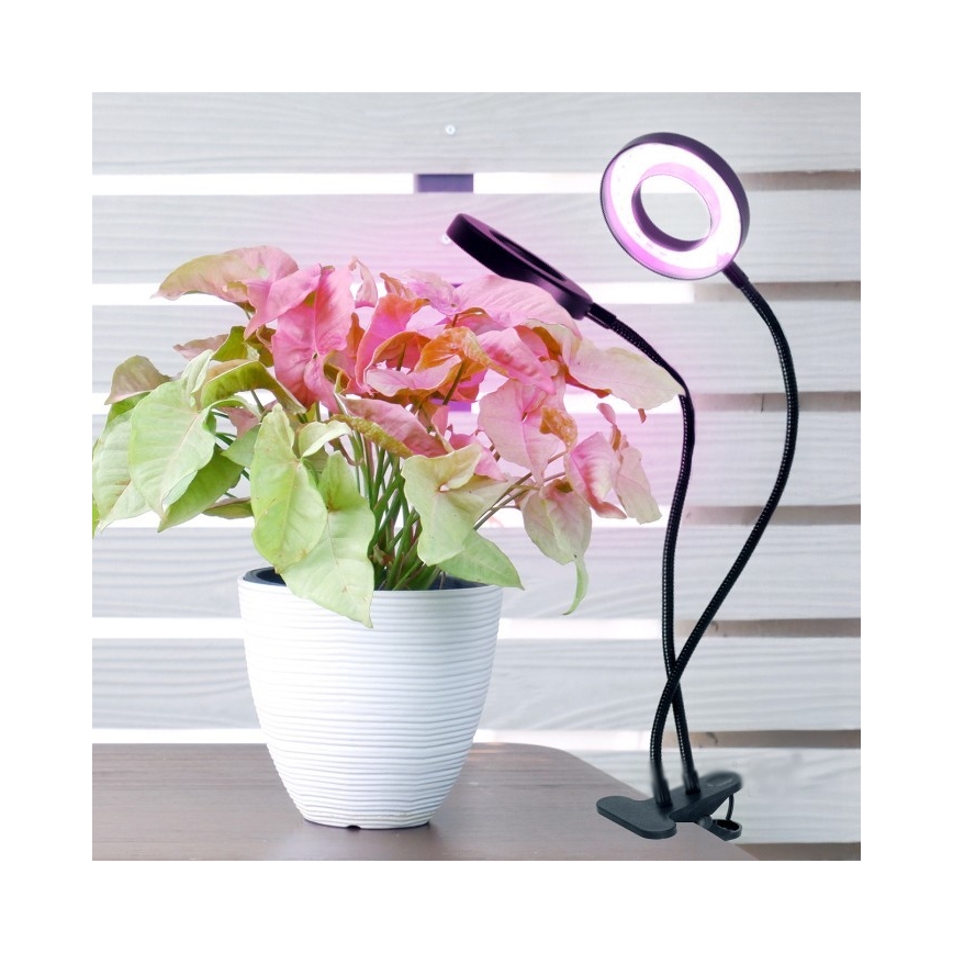 LED Ljusreglerad flexibel bordslampa med klämma för att odla växter VITARO 2xLED/4W/230V svart