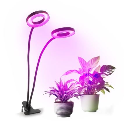LED Ljusreglerad flexibel bordslampa med klämma för att odla växter VITARO 2xLED/4W/230V svart